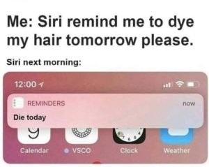 siri dye hair as an example of AI fail